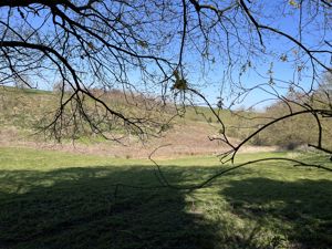 View from 